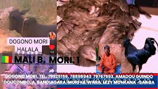 DOGONO MORI HLALA BANDIAGARA A DOUCOMBO LEZY MONTANA SAR BA [upl. by Plotkin619]