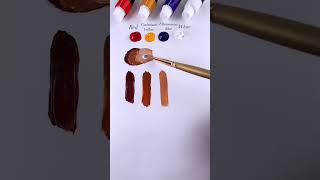 Mixing different skin tone colour art colourmixing paint [upl. by Cynthia]