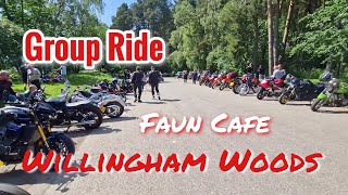 Faun Cafe  Willingham Woods [upl. by Corvin285]