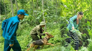 Ms Huong ran away into the deep forest The police and sniffer dogs found MsHuongs hiding place [upl. by Igal]