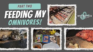 Feeding My Reptiles Part Two Grocery Store Trip amp Omnivore Food Haul  Plus Treats for Carnivores [upl. by Romeu]