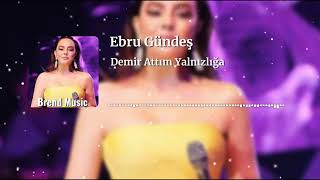 Ebru Gündeş  Demir Attım Yalnızlığa Remix 2024 [upl. by Nnawaj]