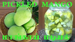 Mango Traditional Pickled Mango How to make Pickled Mango Green Mango மாங்காய் மடியல் [upl. by Anilad]