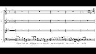 Schubert Mass in G major  Agnus Dei [upl. by Nimar]