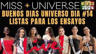 MISS UNIVERSO 2024 DIA 14 LISTAS PARA LOS ENSAYOS missuniverso2024 [upl. by Borden]