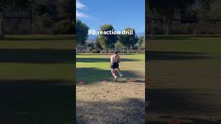 Ball carrier reaction drill [upl. by Nitfa]