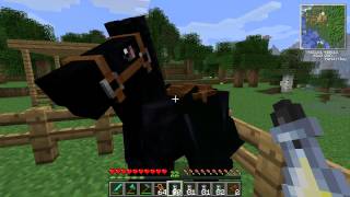 Minecraft  Mo Creatures PferdezuchtGuide ab MC Version 145 [upl. by Iahk546]