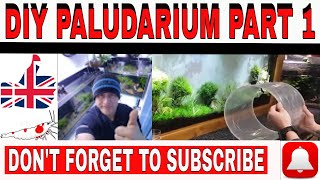 DIY ACRYLIC PALUDARIUM PART 1 [upl. by Arinayed882]