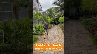 Aralea beach resort Morjim GOA travel viral youtubeshorts [upl. by Allerim]