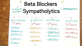 All About Beta Blockers  Antiadrenergic Drugs [upl. by Uta]