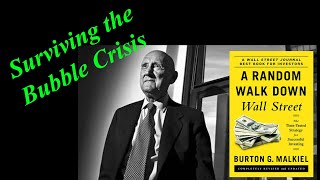 Surviving Market Bubbles Like a Pro A Random Walk Down Wall Street Audiobook Ch 4 Summary [upl. by Ztirf486]