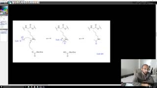 Methylation and Acetylation of Lysine [upl. by Sandy570]