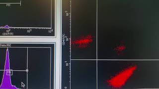 Basics of Flow Cytometry [upl. by Pazit681]