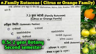 Family Rutaceae  Orange or Citrus Family  BSc 2nd year [upl. by Dnalra]