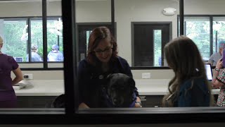 Take A Tour  CARE  Charlotte Animal Referral amp Emergency [upl. by Doug]