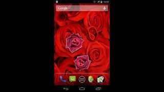 Roses Live Wallpaper [upl. by Aztinaj]