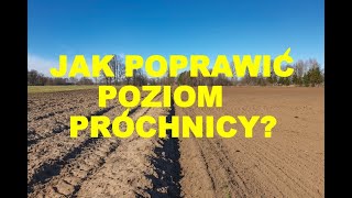 Jak zwiększyć poziom próchnicy rolnictwo agriculture [upl. by Redwine]