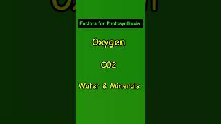 Factors Necessary For Photosynthesis science plants phoyosynthesis [upl. by Sidra]