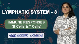 Lymphatic System  8  Immune Responses B cells and T cells  Malayalam [upl. by Zere417]