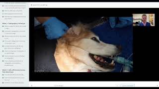 Mandibular  Inferior alveolar  Nerve Block in a dog [upl. by Nudnarb]