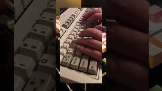 IBM Model M Keyboard [upl. by Sheryl]