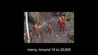 The Uncontacted Tribes of the Amazon Amazon Tribe [upl. by Janith]