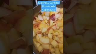 Homemade Applesauce Making And Canning FULL Tutorial on my Channel food apples [upl. by Onid]