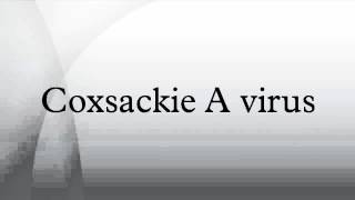 Coxsackie A virus [upl. by Attevaj]