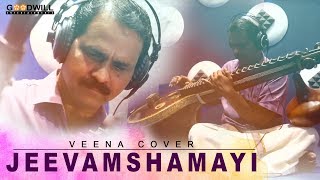 Jeevamshamayi Veena Cover  V Soundara Rajan  Theevandi Movie  Kailas Menon [upl. by Osmond478]