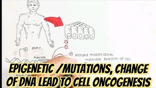 EpigeneticMutationsChange Of DNA Lead To Cell Oncogenesis umerfarooqbiology7083 [upl. by Scharaga]