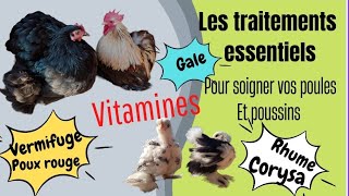 Comment SOIGNER vos Poules 🤔 Traitement INDISPENSABLE [upl. by Nauquf560]