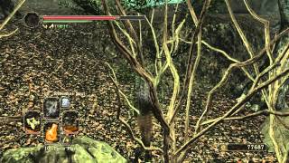 Dark Souls 2  Shaded Woods OOB Jump [upl. by Normand]