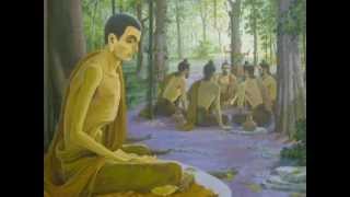 dhamma chakka pavattana sutta [upl. by Annig]