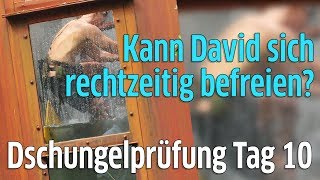 Dschungelcamp 2018 Dschungelprüfung Tag 10  David Friedrich im Wassertank [upl. by Eward]