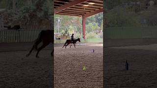 Got an hyperextended knee from an emergency dismount so just posting old clips from 3 weeks ago [upl. by Aneeg]