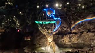 Exploring Rainforest Cafe  Disney Springs Orlando Tour [upl. by Livia871]