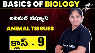 ANIMAL TISSUES  Basics of Biology  Class 9  Ap Ts Board  Cbse  Telugu [upl. by Aseeram221]