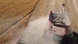 Wheat Harvest in the Palouse area [upl. by Seldon]