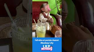 Dad takes Lily to the coffee shop P3 shorts short monkey [upl. by Roselani]