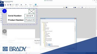 How to Import Graphics From a Spreadsheet  Brady Workstation [upl. by Norven]