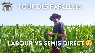 TOUR des PARCELLES LABOUR VS SEMIS DIRECT [upl. by Neumeyer713]