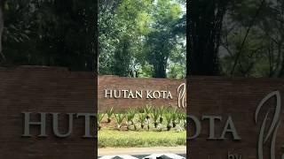 Hutan Kota by Plataran shortsvideo shortsviral short shortvideo shortsfeed tempatmakanenak [upl. by Gensler590]