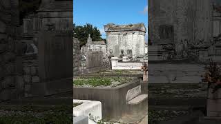 Lafayette Cemetery New Orleans shortvideo [upl. by Adnalor]