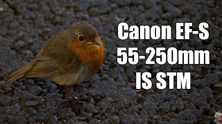 Canon EFS 55250mm f456 IS STM Sample Photos 4K [upl. by Doner]