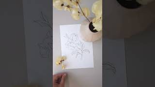 Bougainvillea flower drawing class [upl. by Barron416]