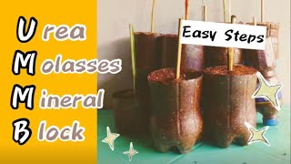 How To Make UreaMolasses Mineral Block UMMB  Ruminants [upl. by Enelyak556]