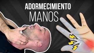 🖐🏻4 Ejercicios de 1 minuto para LOS HORMIGUEOS O MANOS DORMIDAS [upl. by Atikehs]