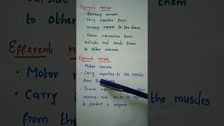 Afferent nerves Vs Efferent nervesAwes biology NEET CTET DSC KVS NVSHappy learning [upl. by Heidy]