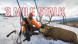 The most thrilling Colorado Mule Deer Hunt [upl. by Akisey]