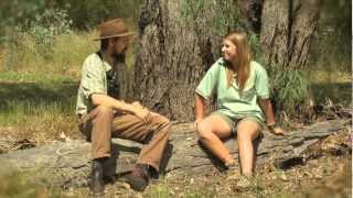 Bush stonecurlews  with Dr Dave [upl. by Jutta]